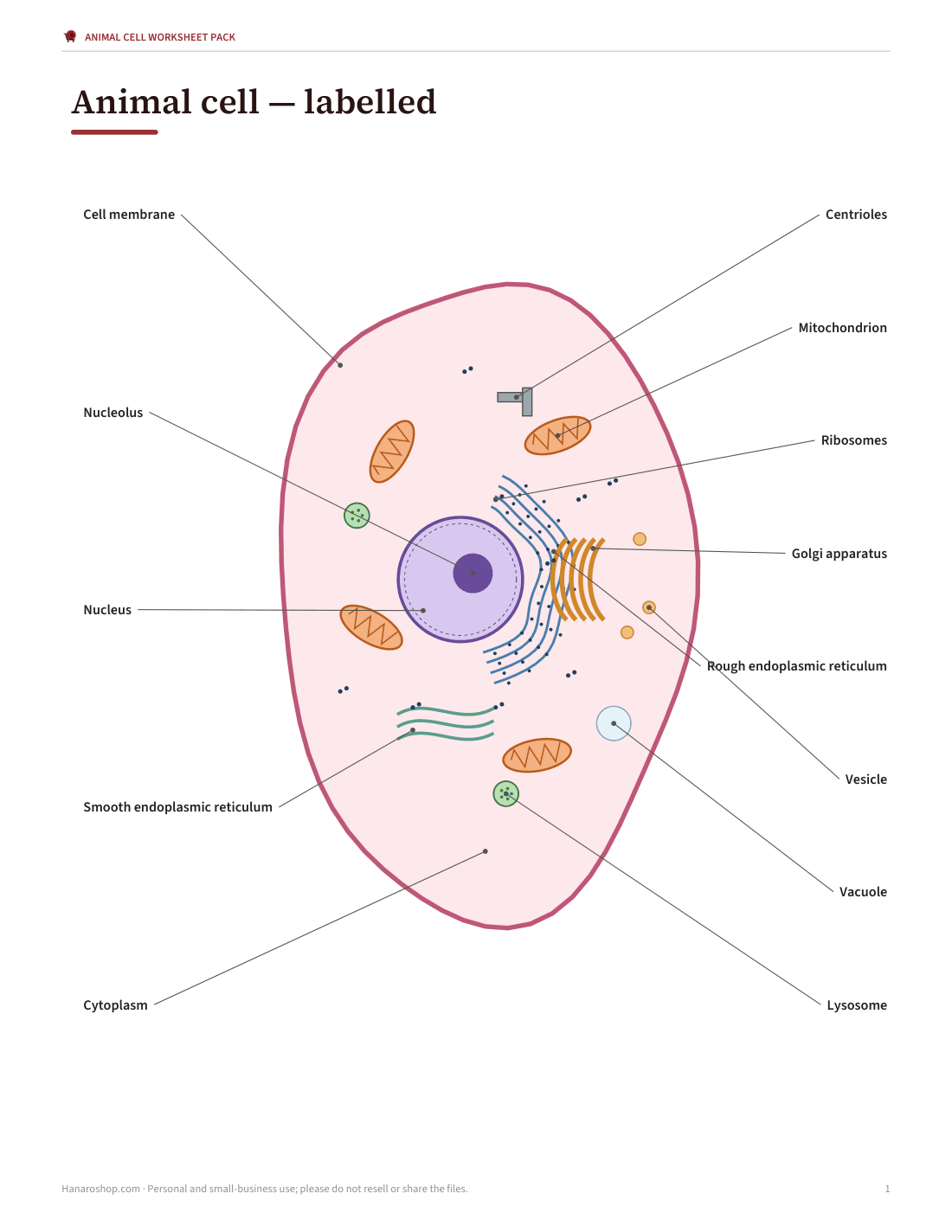 Preview of the first page of Labelled diagram (PDF)